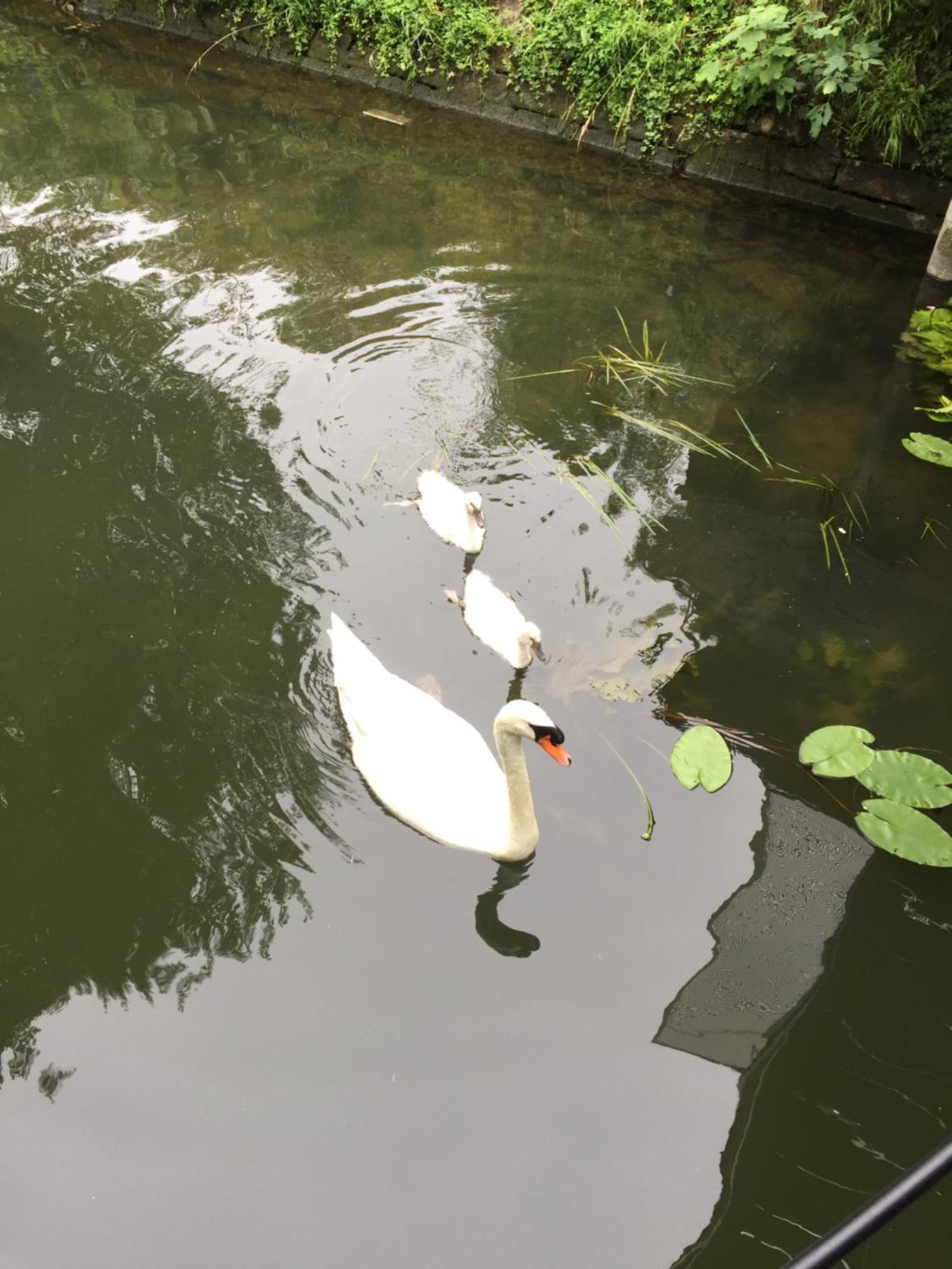 巴黎Loft Sur L'Eau Avec Parking公寓 外观 照片